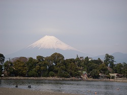 大晦日の大瀬崎にて秀峰富士を望む